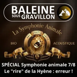 BEST OF D'ÉTÉ #43 Symphonie animale 7/8 : Le "rire" de la Hyène, un grosse erreur qui persiste