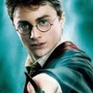 Playing "Harry Potter"
