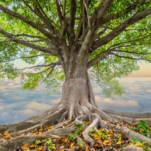 Tree Of Life ~ Deep Sleep & Relaxation Music ~ Nature Sounds for Nervous System Calm
