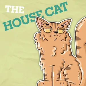 Why Do Cats Have Whiskers?