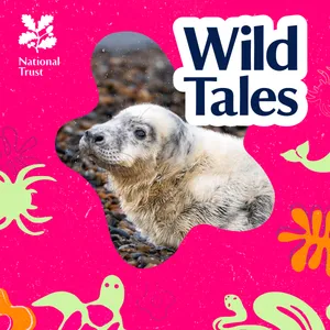 The Island of Secret Seals