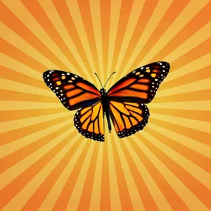 Le papillon monarque, l'explorateur qui lit le ciel