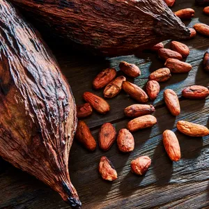 Reportaje | El cacao venezolano es algo serio