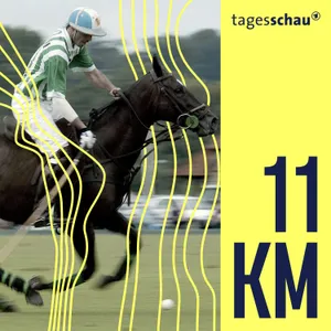 Pferde klonen: Millionengeschäft im Spitzensport