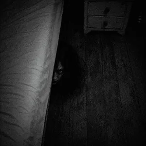 Algo reza debajo de tu cama (relatos de terror)