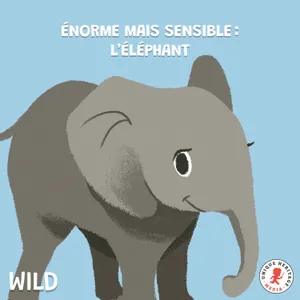 Énorme mais super sensible : l'Eléphant