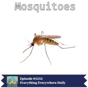 Mosquitoes