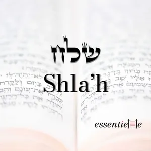 5786 - Shlah - La force de la parole: révéler le pouvoir du bien