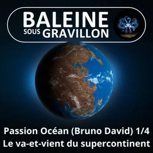 S08E18 Passion Océan 1/4 : Les retrouvailles des continents... tous  les 500 millions d'années (Bruno David)