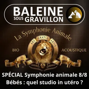 BEST OF D'ÉTÉ #44 Symphonie animale 8/8 : L'importance méconnue des sons pour un bébé humain (Nicolas Mathevon, bioacousticien)