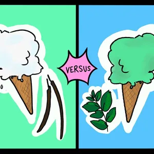 Vanilla vs Mint