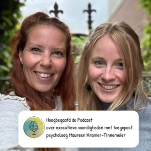 'Er zit vaak een executieve vaardigheid onder, die eigenlijk voor alle problemen zorgt.' Maureen-Kramer-Tinnemeier