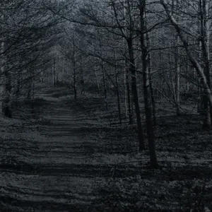 S1, Ep. 1 | Hide and Seek