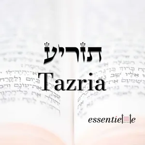5786 - Tazria - Compter ce qui compte !
