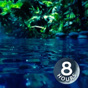 Sonido de agua para dormir o concentrarse | Ruido blanco de arroyo (8 horas)