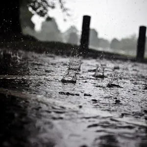 Sonidos Relajantes De Lluvia Rain Sounds For Sleeping