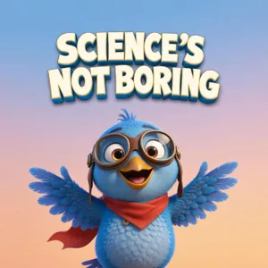 What is the science of flight?