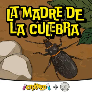 La Madre de la Culebra: ¿serpiente o escarabajo?
