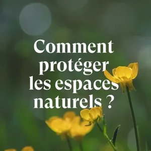Et si on achetait des terres pour protéger le vivant ? Entretien avec le Conservatoire des Espaces Naturels d’Occitanie
