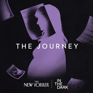 Trailer: The Journey