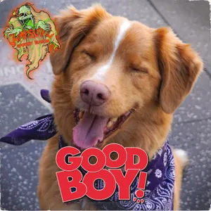 GOOD BOY : Film de wouf (avec spoilers)