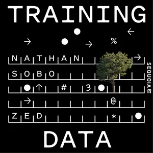 Why IDEs Won't Die in the Age of AI Coding: Zed Founder Nathan Sobo