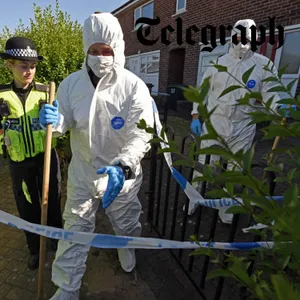 ‘It’s terrorism’: Ann Widdecombe’s 'murder' reignites debate over Farage’s £5m security