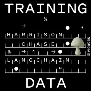 Context Engineering Our Way to Long-Horizon Agents: LangChain’s Harrison Chase