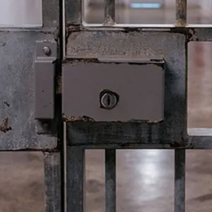 Concerns about the temporary release of prisoners