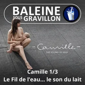 S08E09 Camille... sous le gravillon 1/3 : "Dans la nature, tout est vibration, tout est musique..."