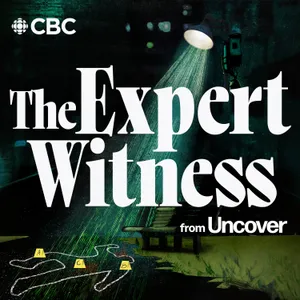 S37 E3: Ducks in a Row | The Expert Witness