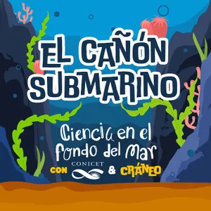 ¿Qué es un cañón submarino?