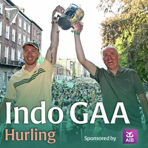 Limerick produce their best | Galway abandon their system | Our team of the year