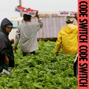 How farm work became the exception to Trump's border crackdown