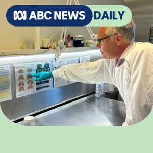 The growing evidence of brain disease in the AFL