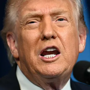 Is Trump trolling Canada?