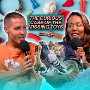 MISSING TOYS, DEATH BED SECRETS AND OBSOLETE PIGEONS