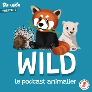 Le professeur Sapions répond à vos questions