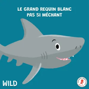 Le grand Requin Blanc pas si méchant !