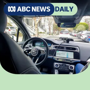 Could we have robotaxis by next year?