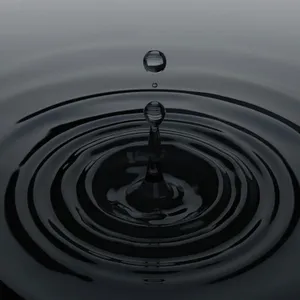 S1, Ep. 8 | Update: Ripple Effects