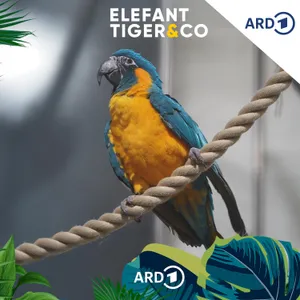 Die neue Ara-Voliere