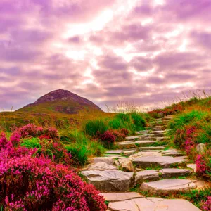MÚSICA para MEDITAR 30 Minutos con Sonido de la Naturaleza - Meditada