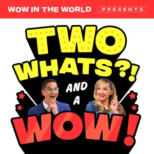 Two Whats?! And A Wow! – Just Kitten Around