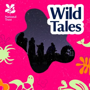 You Might Like: Nature Fix | Stargazing in the City