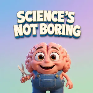 What is a brain?