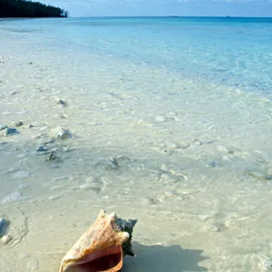 World's oceans hit record-high July temperatures