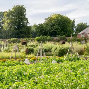 An ode to home grown