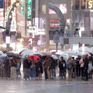Typhoon hits Japan causing landslides and cancelled flights