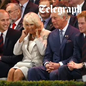 Why Queen Camilla is the key to reuniting William and Harry